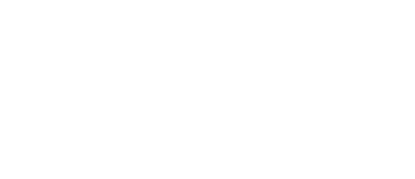 A parrot.